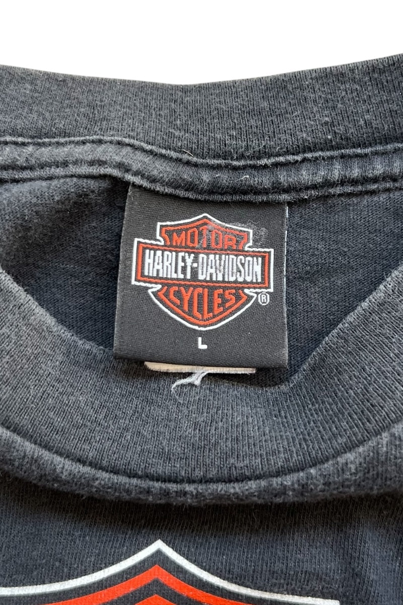 Harley-Davidson ストーン Tシャツ グレーY2K　マクブリング Sturgis Harley-Davidson® Men's Petrified Heather Grey Long