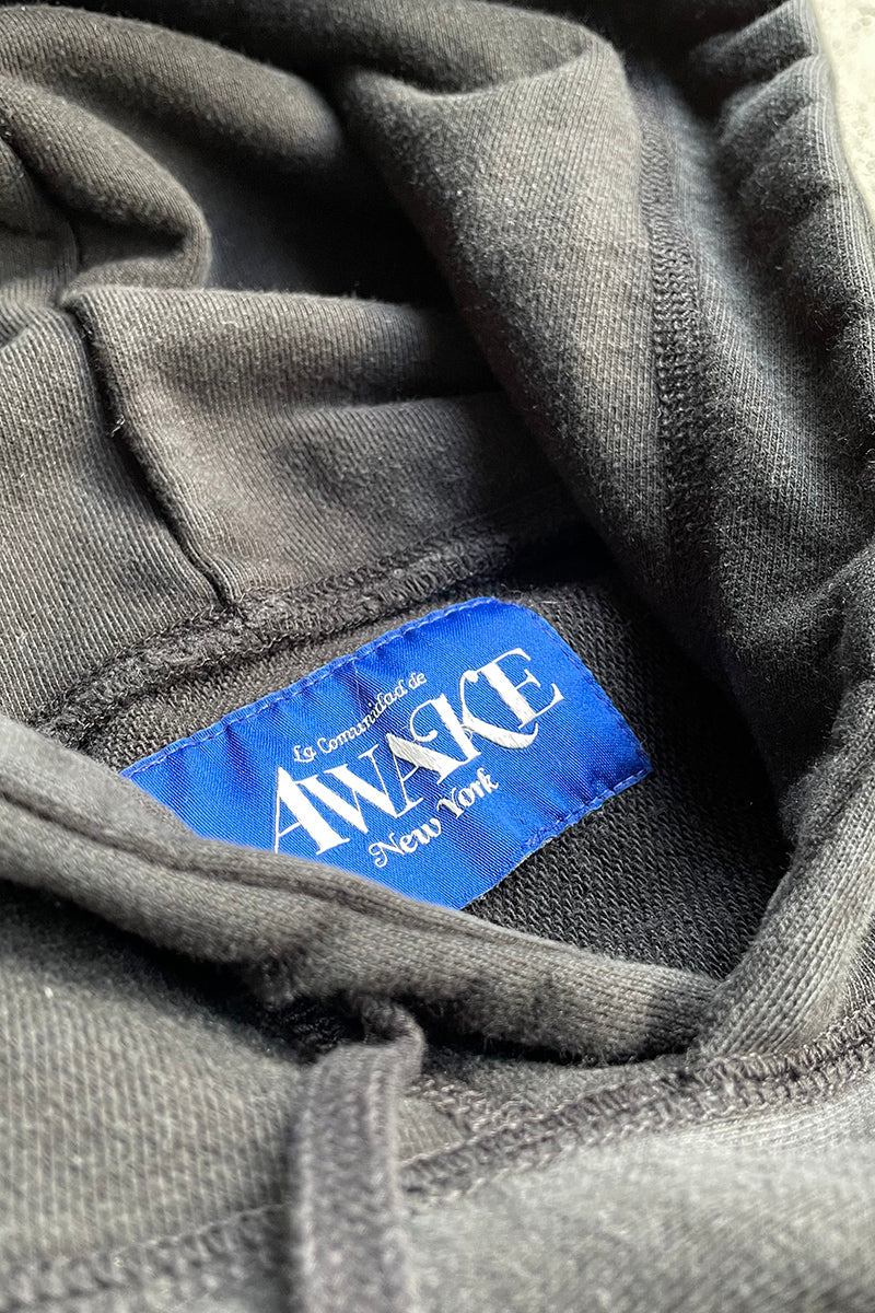 COLLEGE LOGO SWEAT HOODIE / FADED BLACK [SIZE: XL USED]