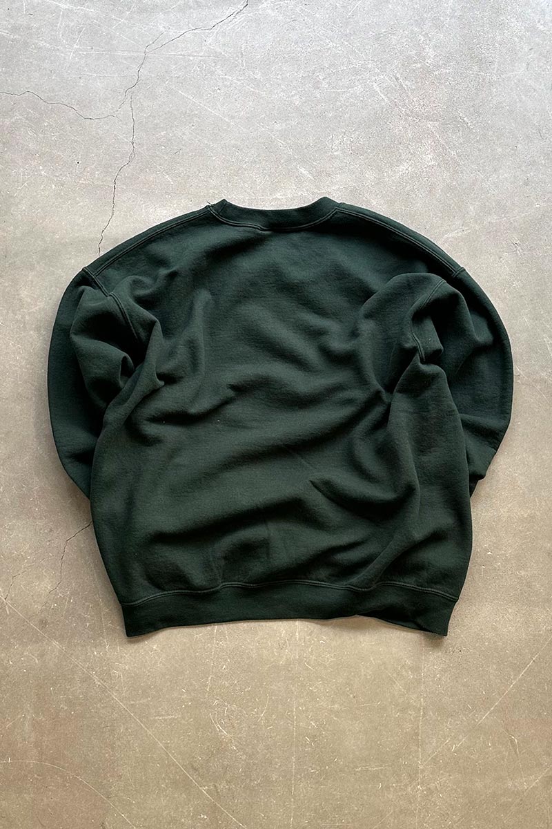 DELAWARE VALLEY COLLEGE DAD PRINT SWEATSHIRT / GREEN [SIZE: L USED]
