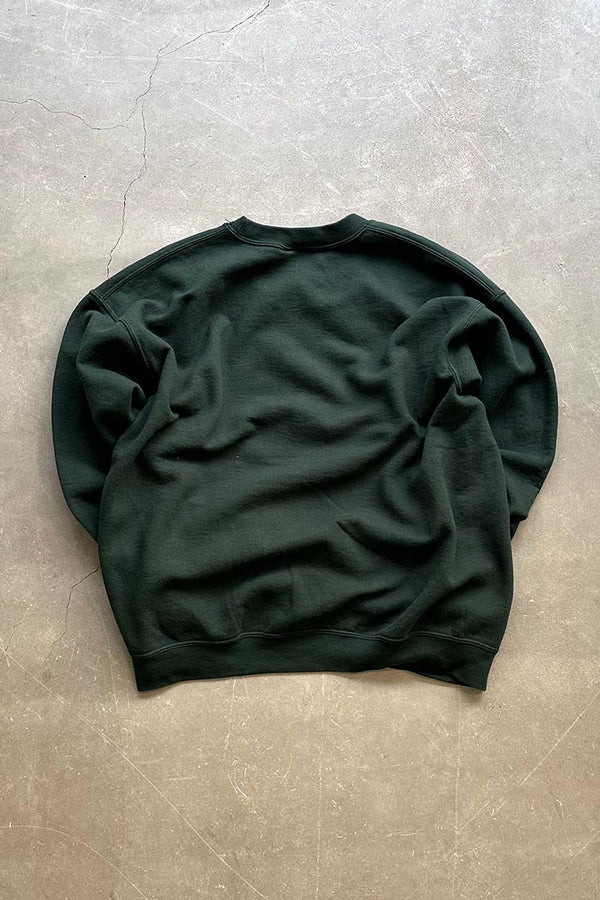 DELAWARE VALLEY COLLEGE DAD PRINT SWEATSHIRT / GREEN [SIZE: L USED]