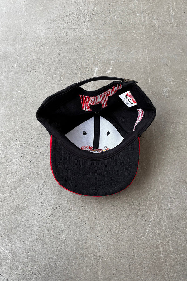 90'S LIZARD ROCK 6 PANEL CAP / BLACK [ONE SIZE USED]