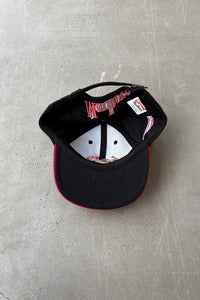 90'S LIZARD ROCK 6 PANEL CAP / BLACK[ONE SIZE USED]