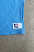 画像をギャラリービューアに読み込む, MADE IN USA 80&#39;S V-NECK EXPOS BASEBALL GAME SHIRT / LIGHT BLUE [SIZE: S USED]
