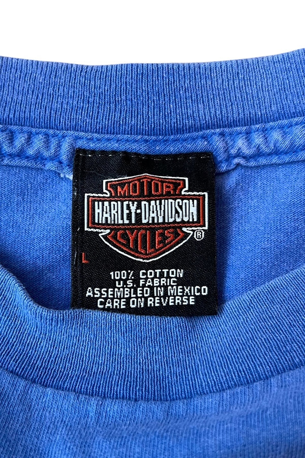 MADE IN MEXICO 03'S Y2K L/S FIRE FLAME T-SHIRT / BLUE [SIZE: L USED]