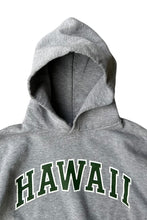 画像をギャラリービューアに読み込む, 90'S HAWAII HOODIE SWEATSHIRT / GREY [SIZE: XL USED]
