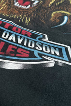 画像をギャラリービューアに読み込む, MADE IN USA 90'S HARLEY DAVIDSON ALASKA T-SHIRT / BLACK [SIZE: L USED]
