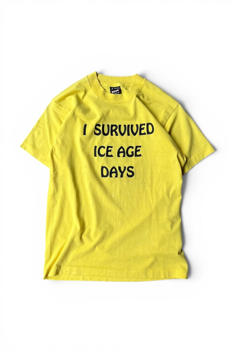 MADE IN USA 90'S RIB LAKE WISCONSIN MESSAGE T-SHIRT / YELLOW [SIZE: M USED]