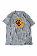 画像をギャラリービューアに読み込む, MADE IN USA 80'S SUN DEVILS T-SHIRT / GRAY [SIZE: L USED]
