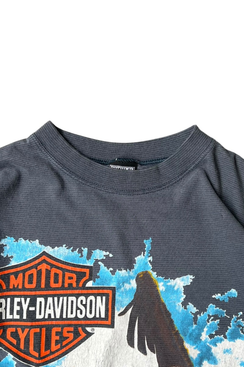 MADE IN USA 90-00'S BORDER GRAPHIC T-SHIRT / GRAY [SIZE: L USED]