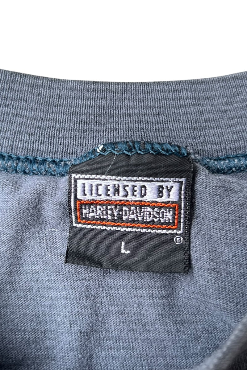 MADE IN USA 90-00'S BORDER GRAPHIC T-SHIRT / GRAY [SIZE: L USED]