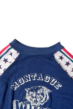 画像をギャラリービューアに読み込む, 70'S MONTAGUE RAGLAN T-SHIRT / BLUE [SIZE: M USED]
