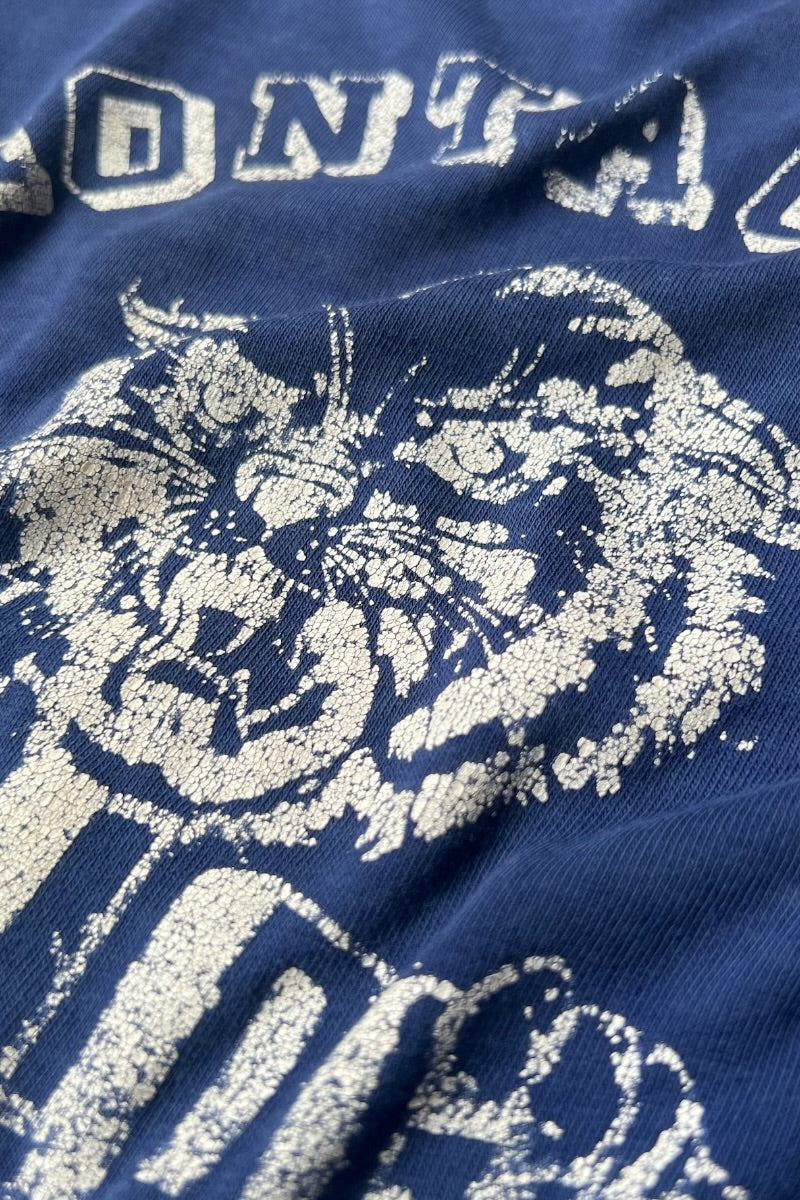70'S MONTAGUE RAGLAN T-SHIRT / BLUE [SIZE: M USED]