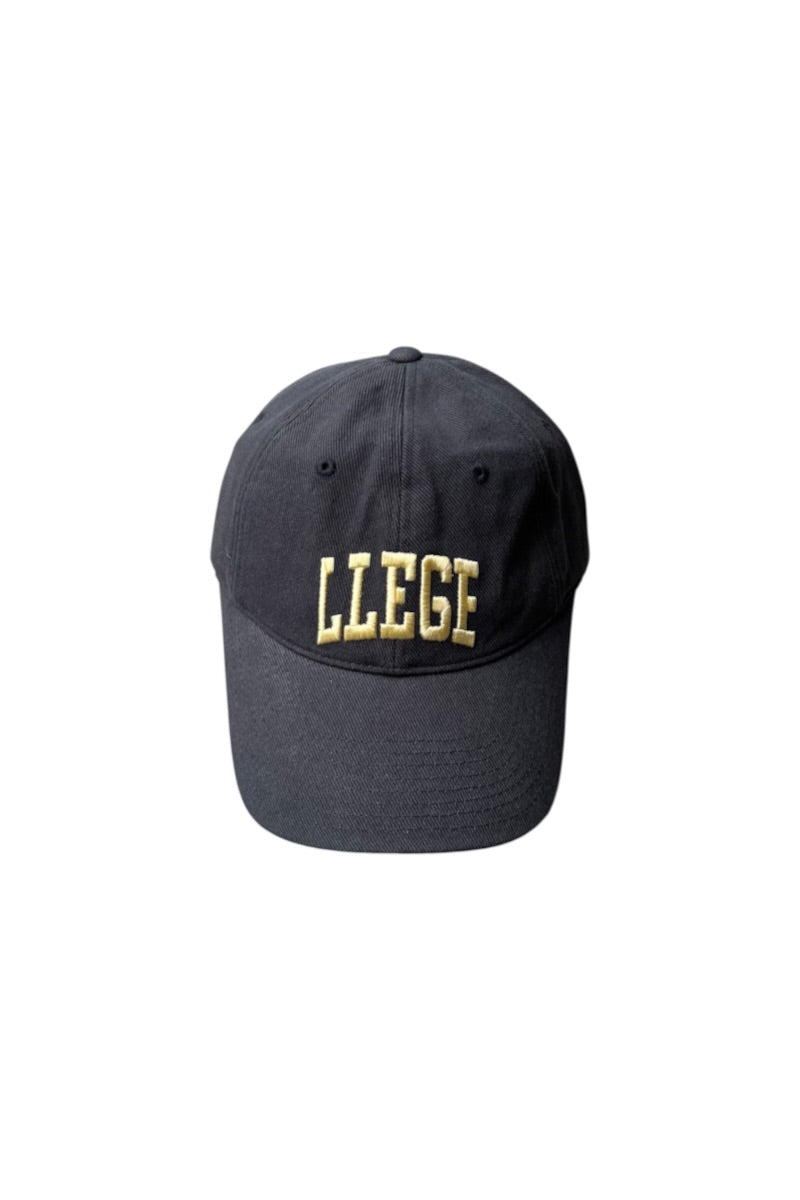 LOGO CAP / GREY [SIZE: ONE SIZE NEW]