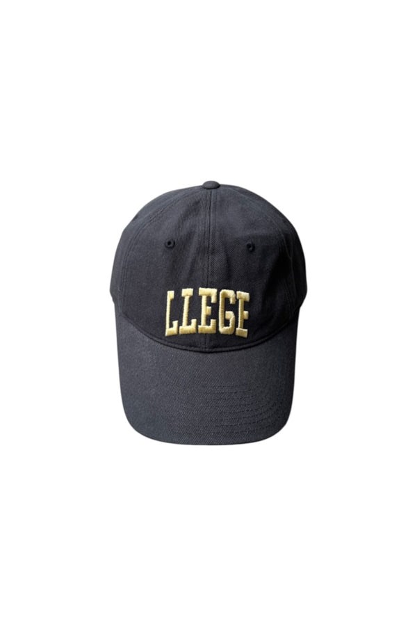 LOGO CAP / GREY [SIZE: ONE SIZE NEW]