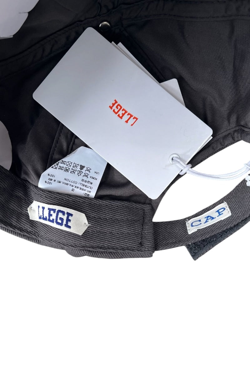 LOGO CAP / GREY [SIZE: ONE SIZE NEW]