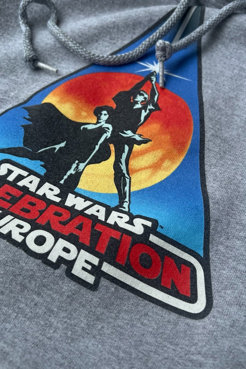 MADE IN MEXICO Y2K 07'S CELEBRATION EUROPE HOODIE SWEATSHIRT / GREY [SIZE: L USED]