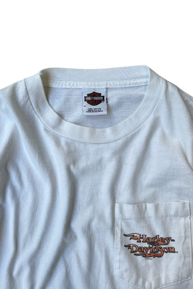 MADE IN USA Y2K EARLY 02'S L/S FIRE FLAME T-SHIRT / WHITE [SIZE: M USED]