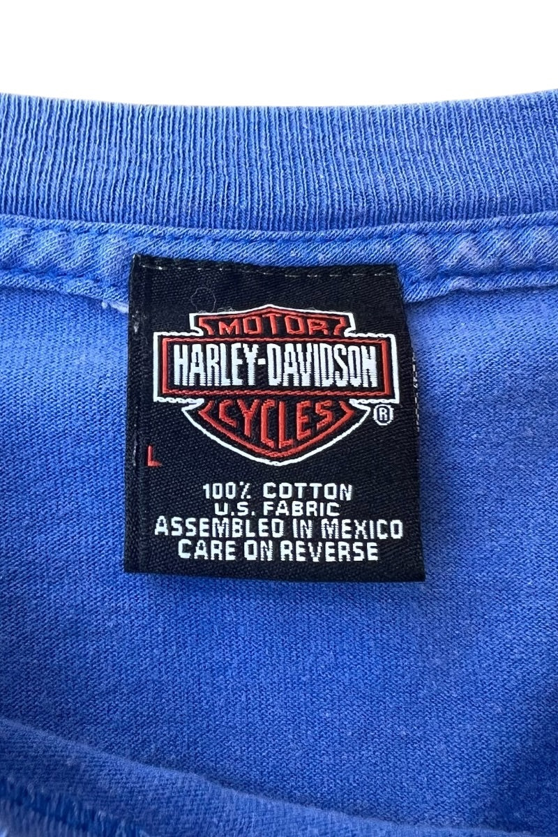 MADE IN MEXICO 03'S Y2K L/S FIRE FLAME T-SHIRT / BLUE [SIZE: L USED]