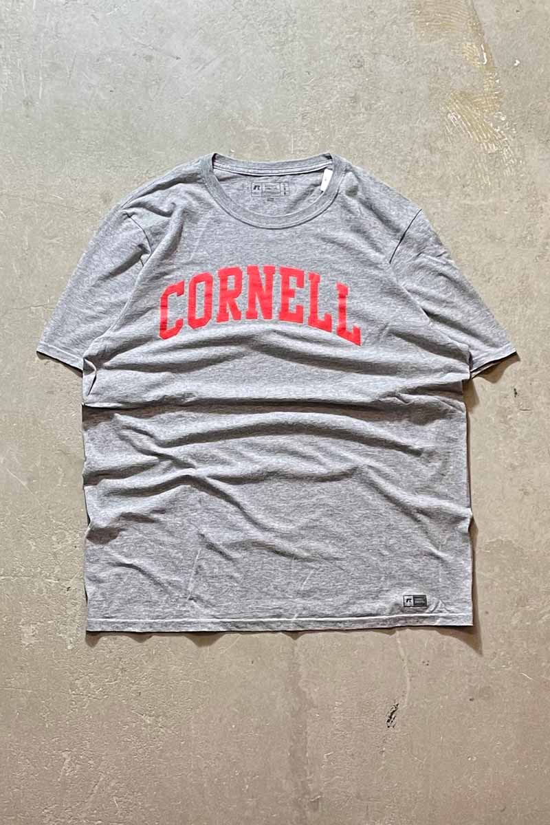 CORNELL UNIVERSITY COLLEGE T-SHIRT / GREY [SIZE: L USED]