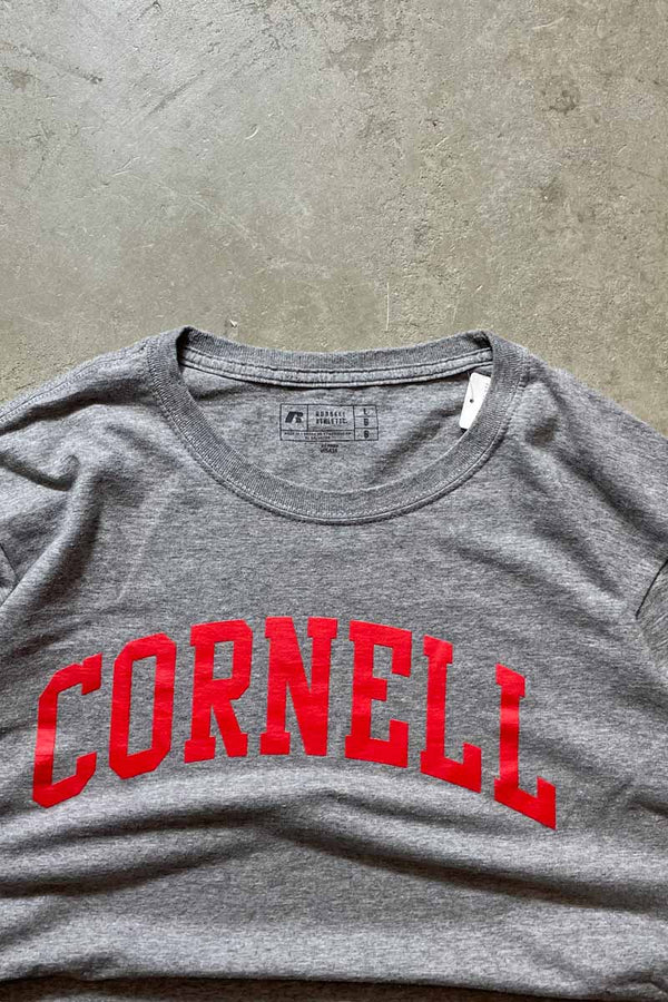 CORNELL UNIVERSITY COLLEGE T-SHIRT / GREY [SIZE: L USED]