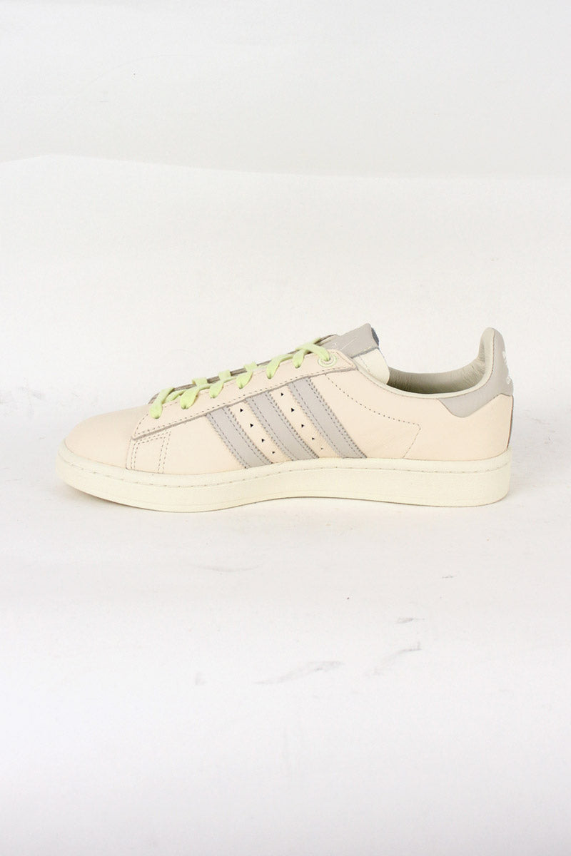 PW CAMPUS USA企画品 / ECRU TINT/CREAM WHITE [NEW]
